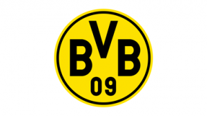 Logo des BVBs